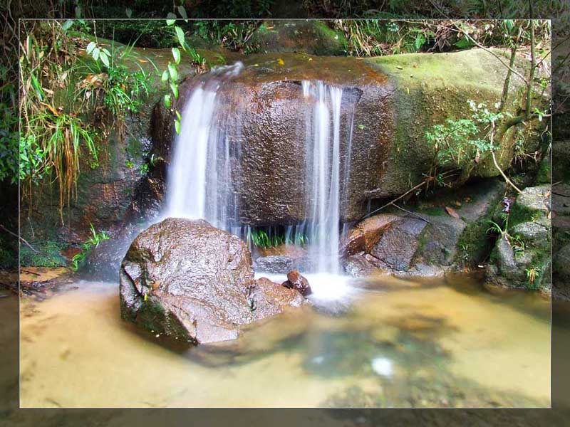 小溪流水