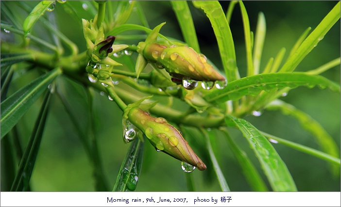 【6月9日下雨摄影图片】广州 珠江边阅江路 车