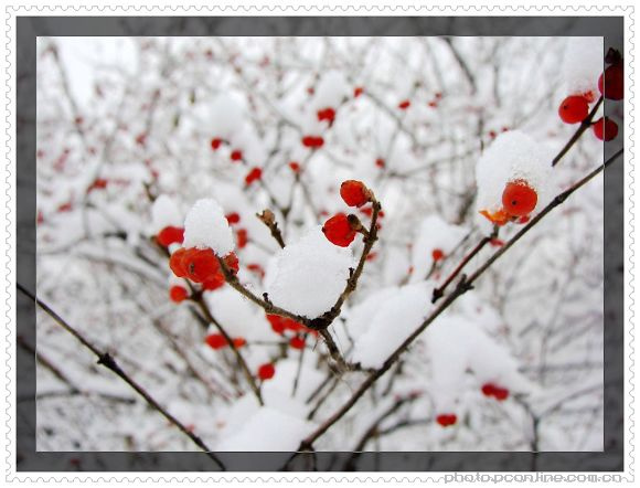 雪景