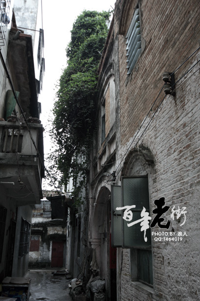 赤坎百年老街 (共p)