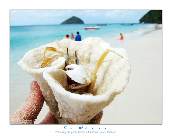【是谁动了海蟹的城堡摄影图片】泰国 珊瑚岛