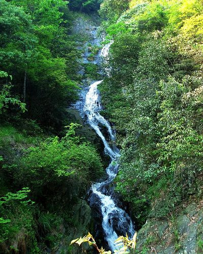 大山深处的美丽