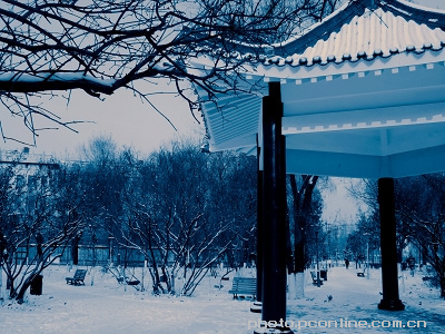 【06.11.26雪后摄影图片】黑龙江大学风光摄影