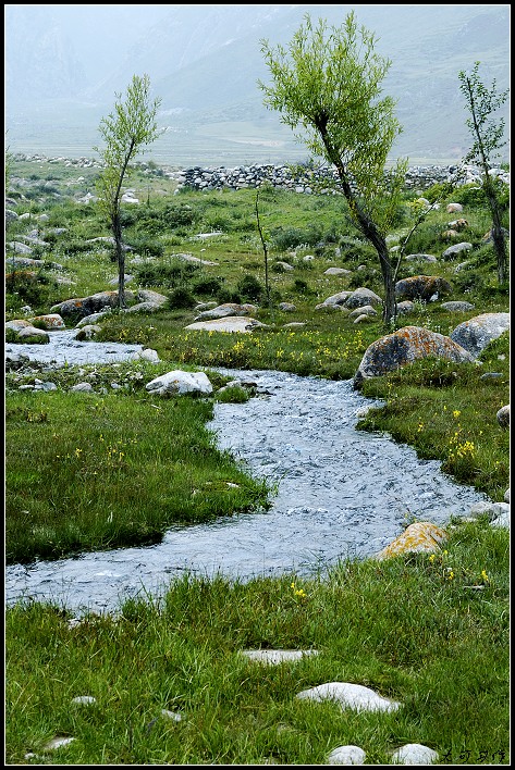 大可的积石山摄影采风作业--风景