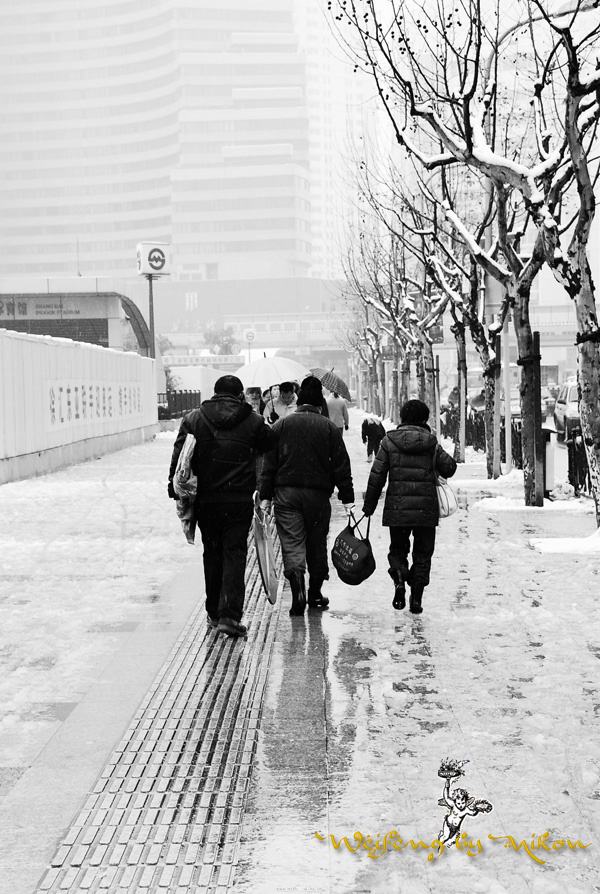 2008年2月2日 上海的另一场大雪
