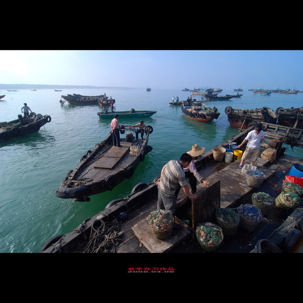 【渔港·码头·集市[渔船靠岸篇]摄影图片】湛江纪实