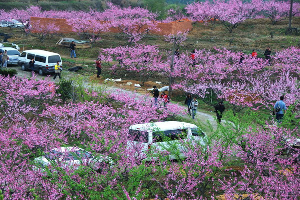 桃花山游记