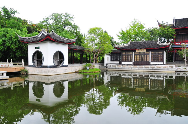 红梅公园掠影