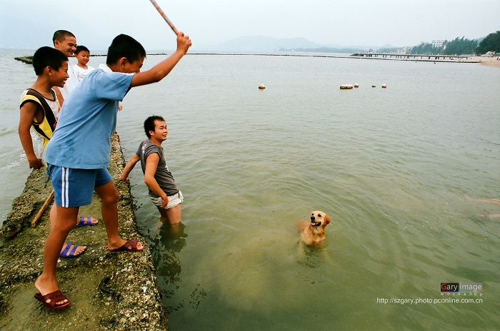 【发现生活中的美---金水湾摄影图片】大鹏金水