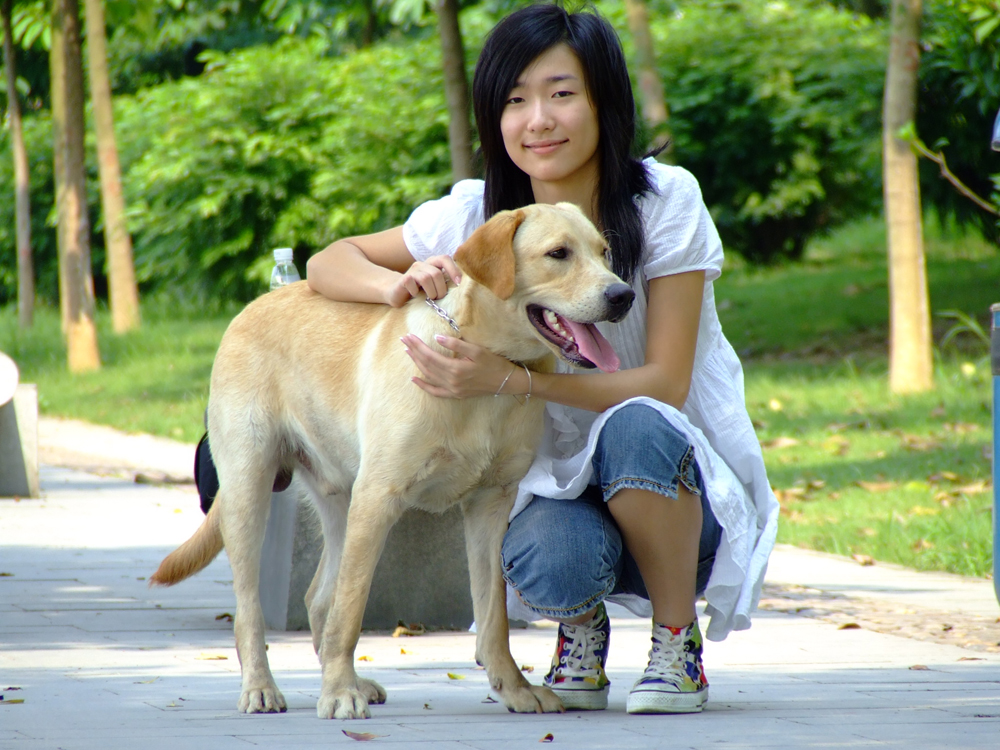 公犬干女人图片