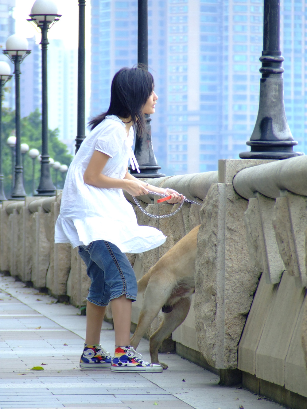 女人与狗