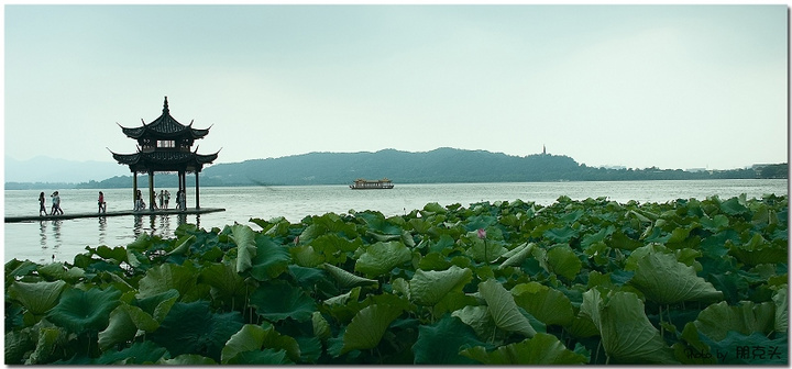 【六月西湖摄影图片】杭州西湖风光摄影_朋克头_太平洋电脑网摄影部落