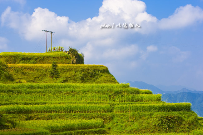 广西融水元宝山梯田风光