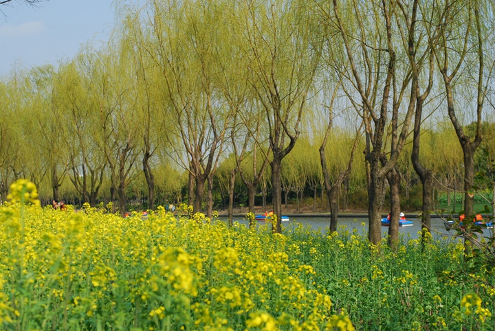 早春二月