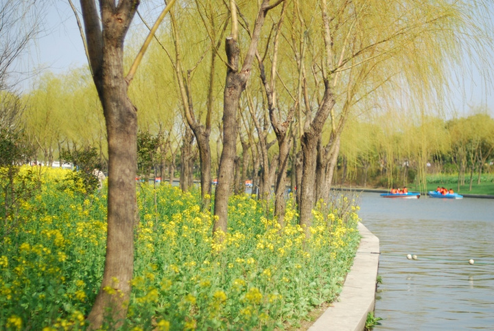 早春二月