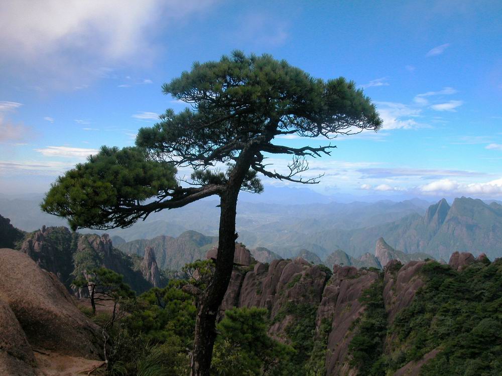 尼康coolpix4500样片,尼康coolpix4500 三清山 - 尼康 coolpix 4500 样张 - pconline数码