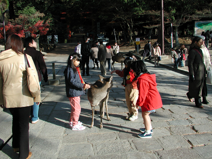 【古都奈良摄影图片】日本奈良风光旅游摄影