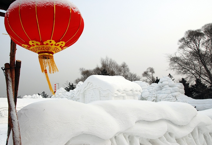 北国雪