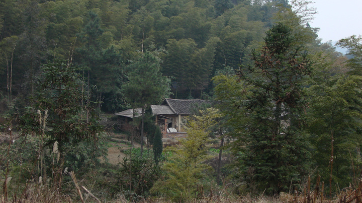 【宁静的山村2摄影图片】四川老家风光摄影_花前月下