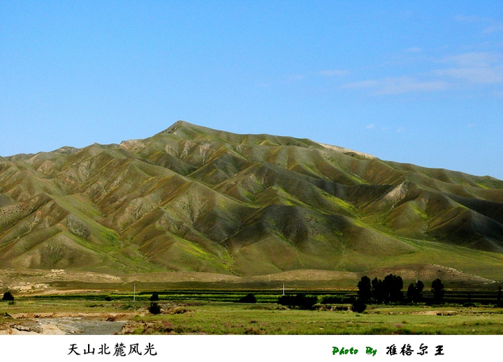 天山北麓风光