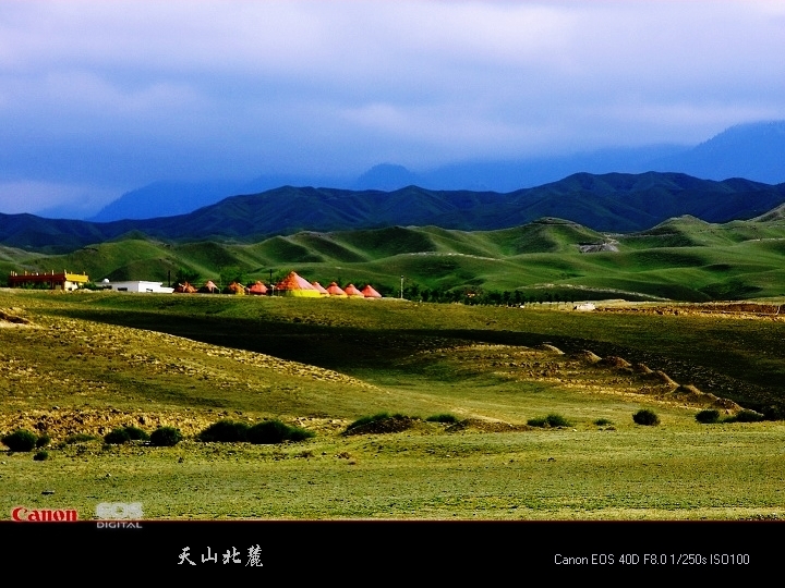 天山北麓