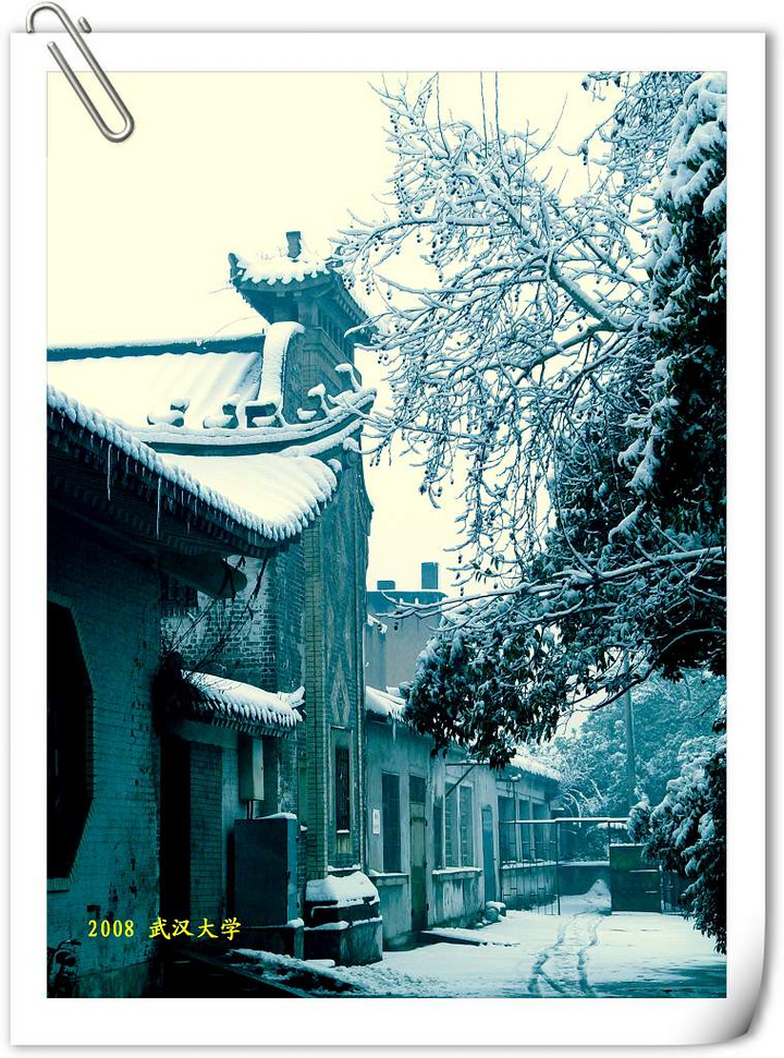 【武汉大学2008雪景摄影图片】武汉大学风光