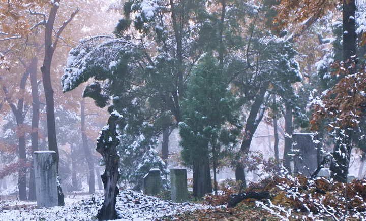 雪景--曲阜三孔 (共 12 p)