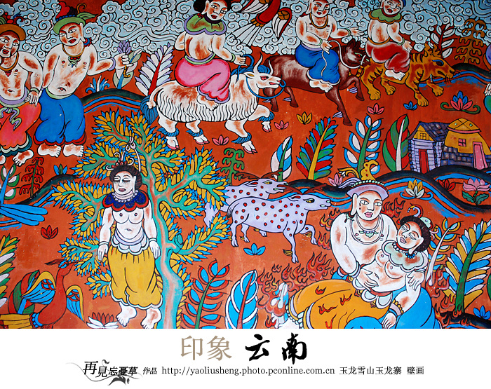 印象云南-人文篇
