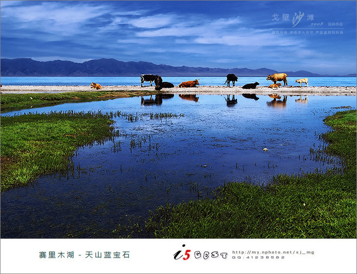 【赛里木湖--璀璨的蓝宝石摄影图片】新疆赛里