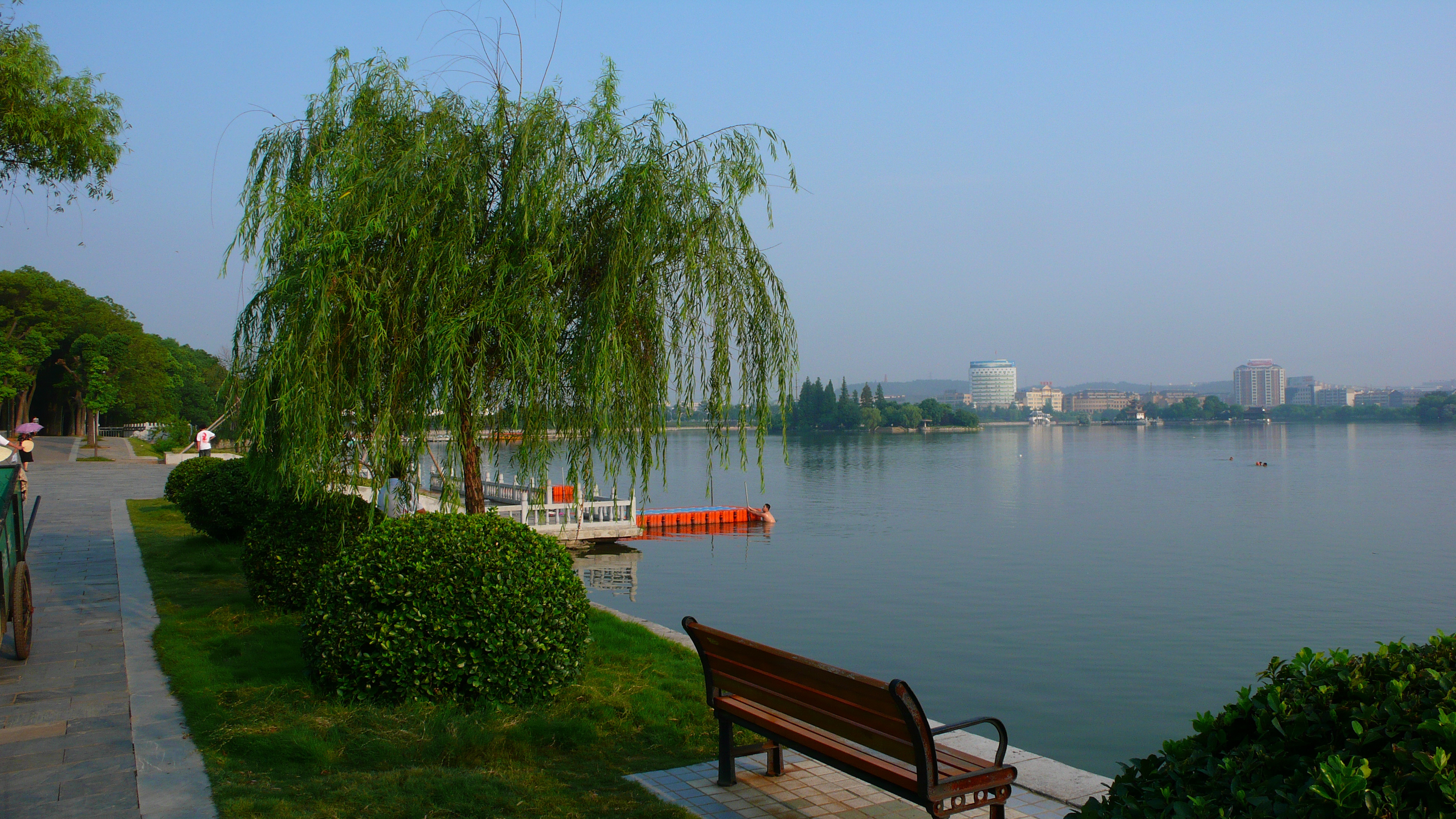 夏日清晨的天井湖公园(三)
