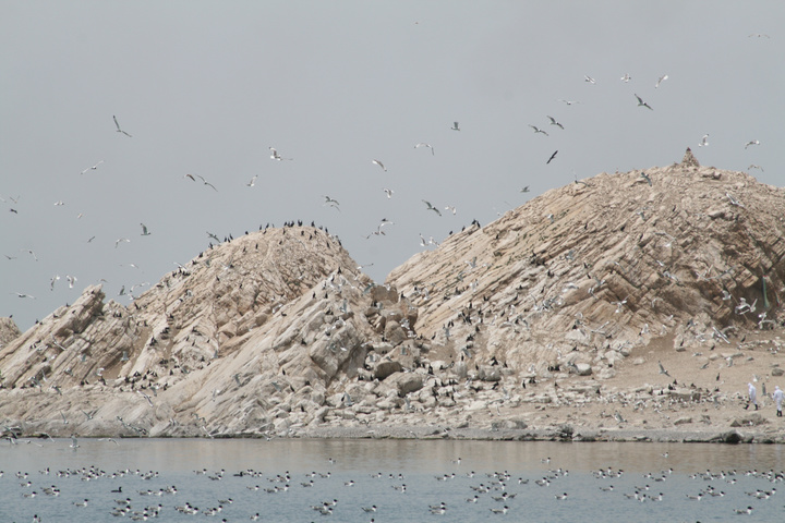 【青海湖--美丽三块石摄影图片】青海湖三块石