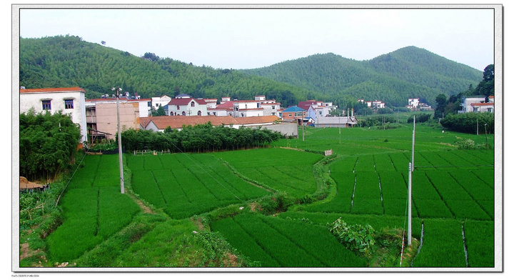 【杭州余杭瓶窑生态村--我家乡的景色2摄影图