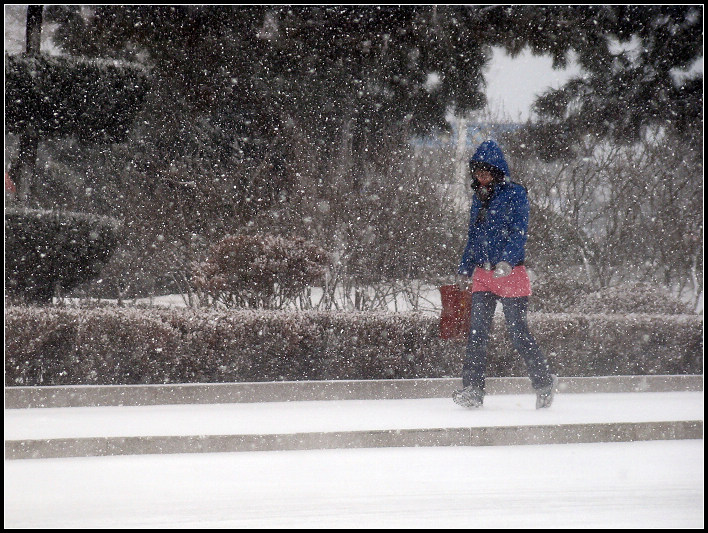 风雪路行人