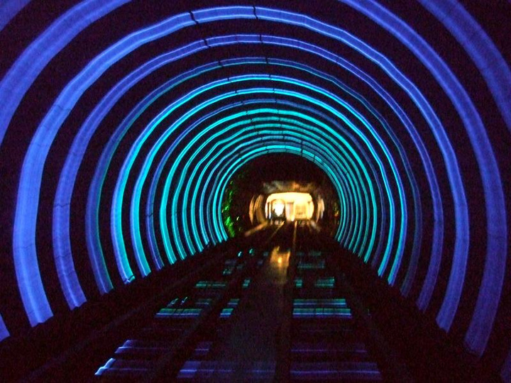 【游上海观光隧道摄影图片】上海风光旅游摄影