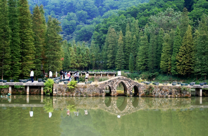 仙湖植物园