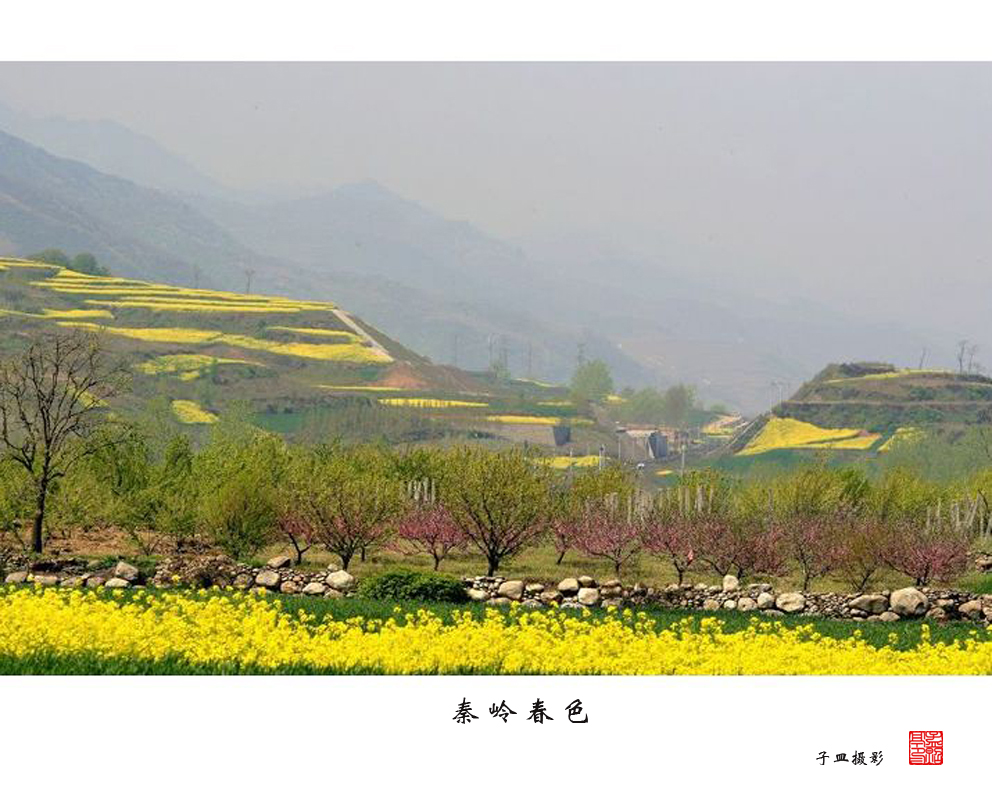 秦岭春色