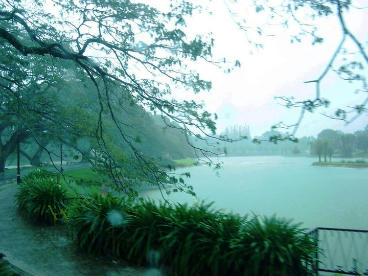 心湖雨又风