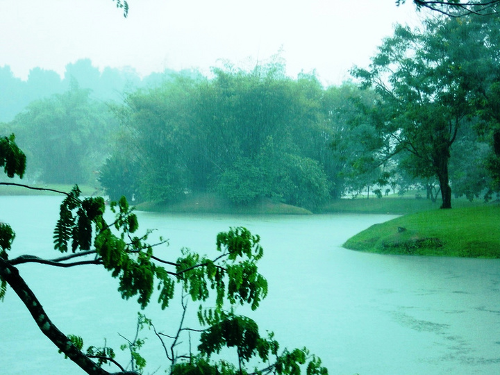心湖雨又风