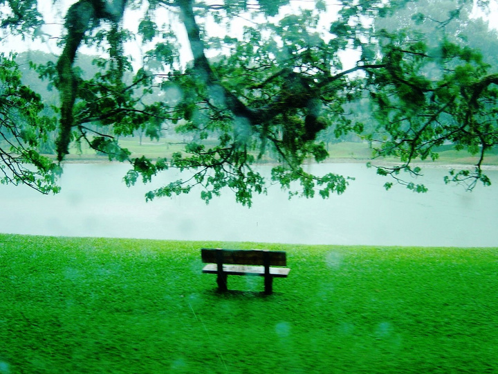 心湖雨又风