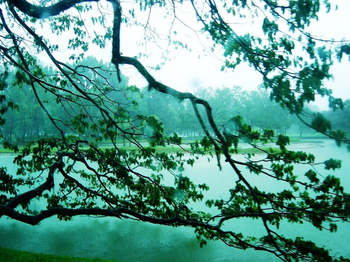 心湖雨又风