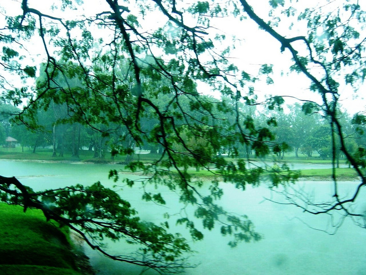心湖雨又风