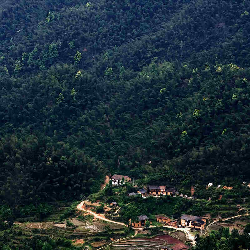 大山人家