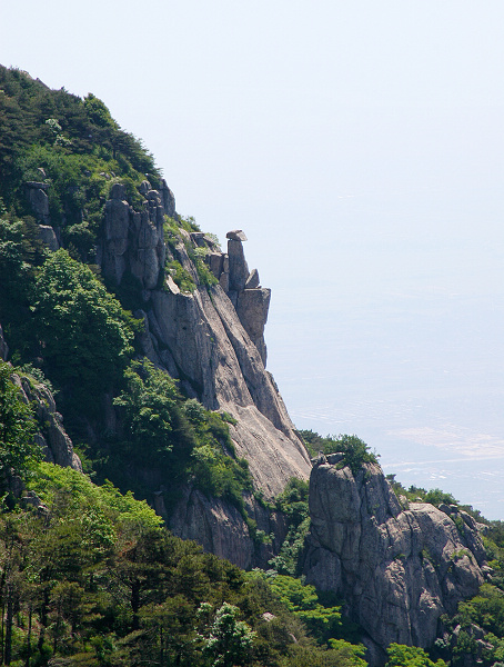 泰山