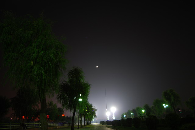 盛夏夜景