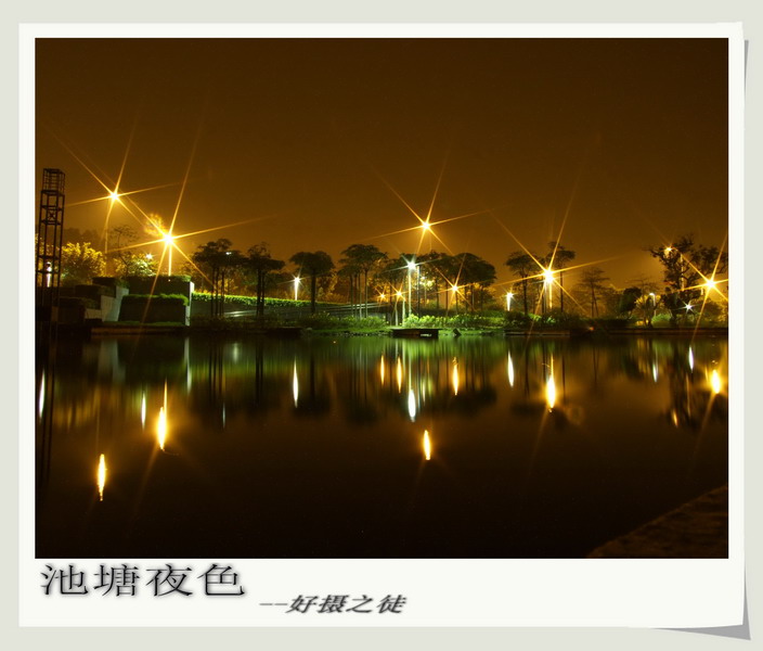 池塘夜色