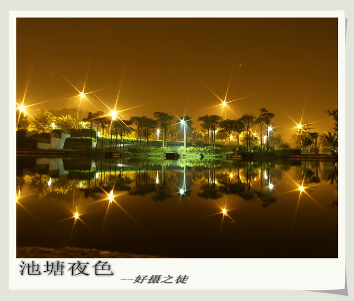 池塘夜色