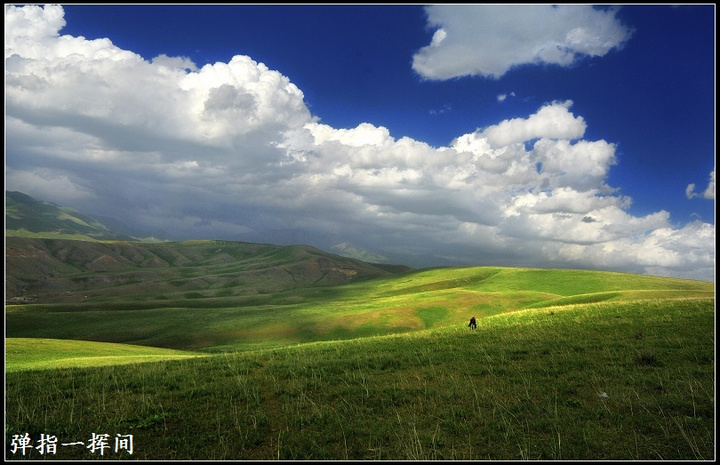 【美丽的托克拉苏夏牧场摄影图片】新疆伊宁县