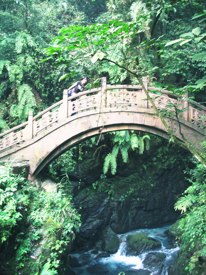 小桥流水