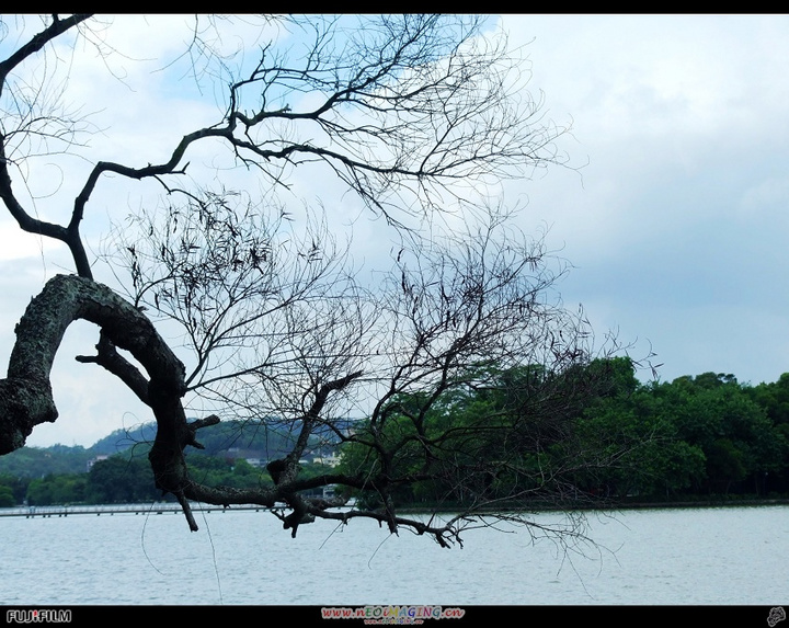 【惠州西湖一日游摄影图片】惠州西湖风光旅游