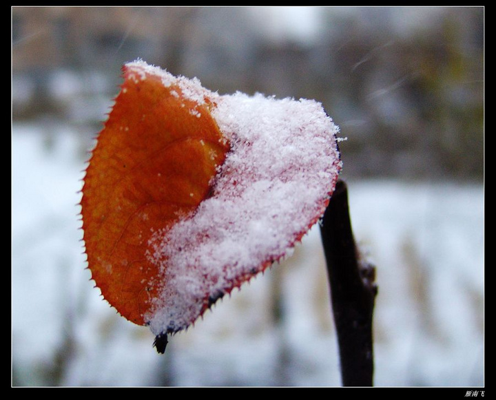 2007年的第一场雪